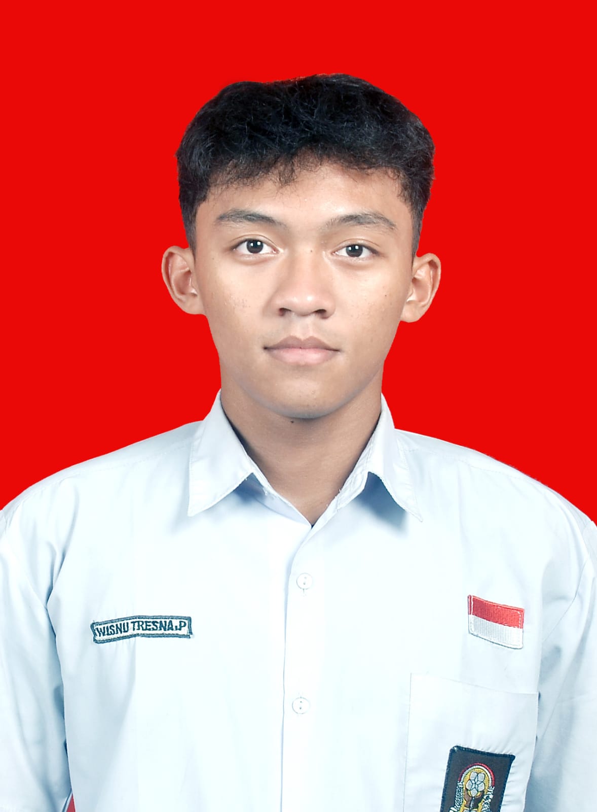 WISNU TRESNA PUTRA