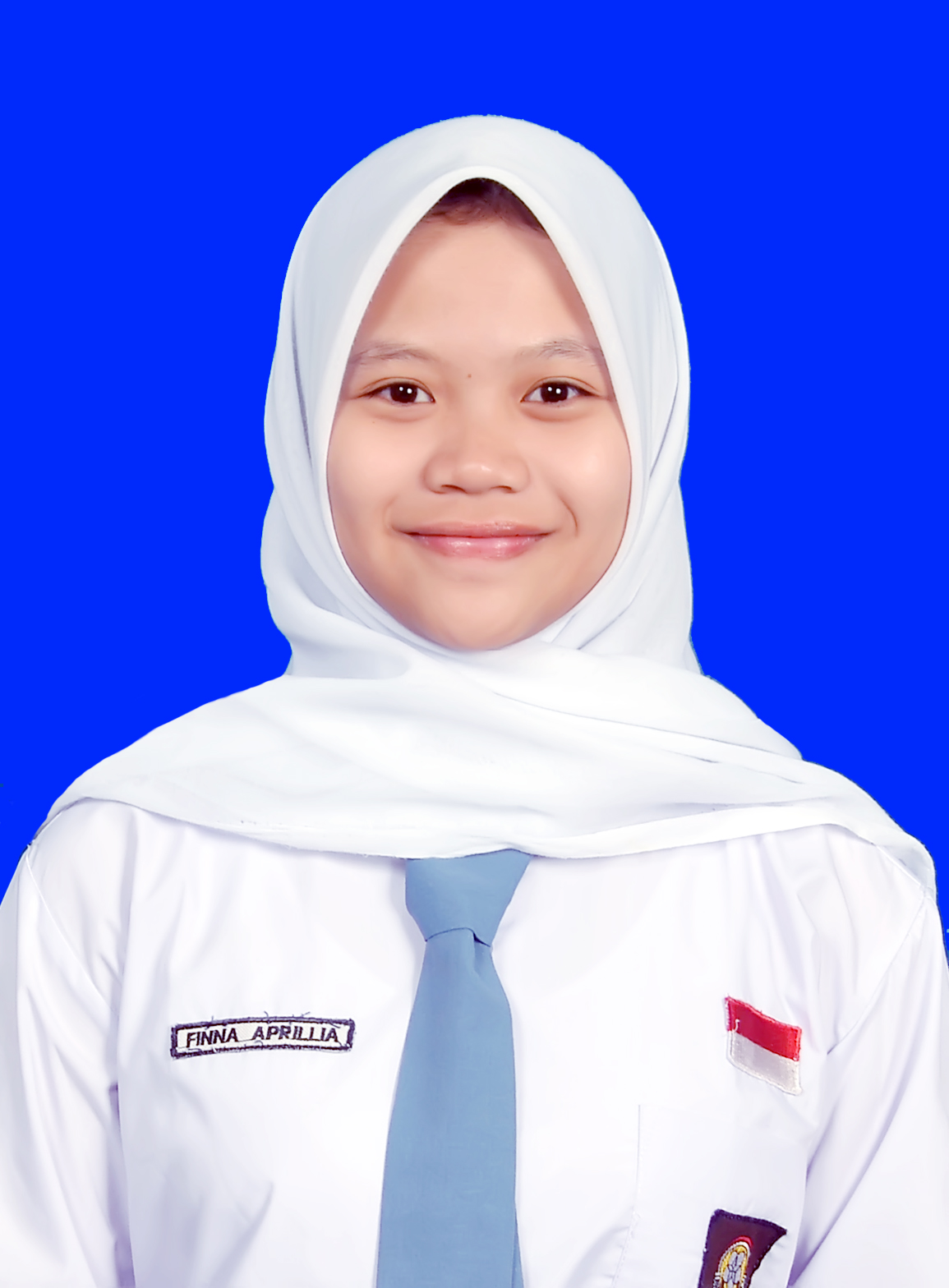 FINNA APRILLIA