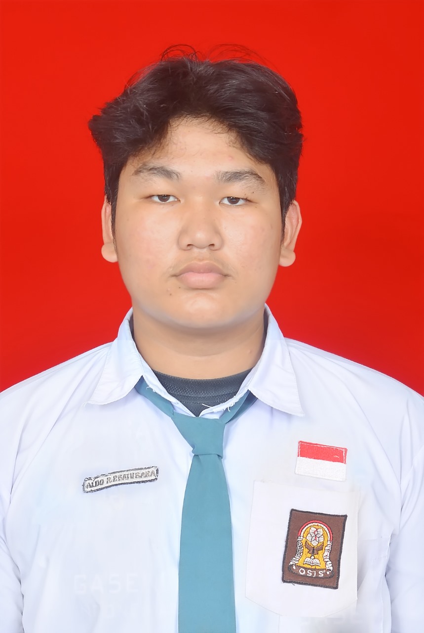 ALDO ROMULUS PARTAHI BATUBARA